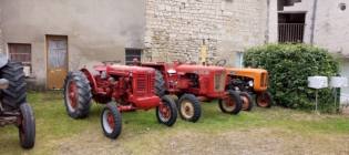 Foire aux vins